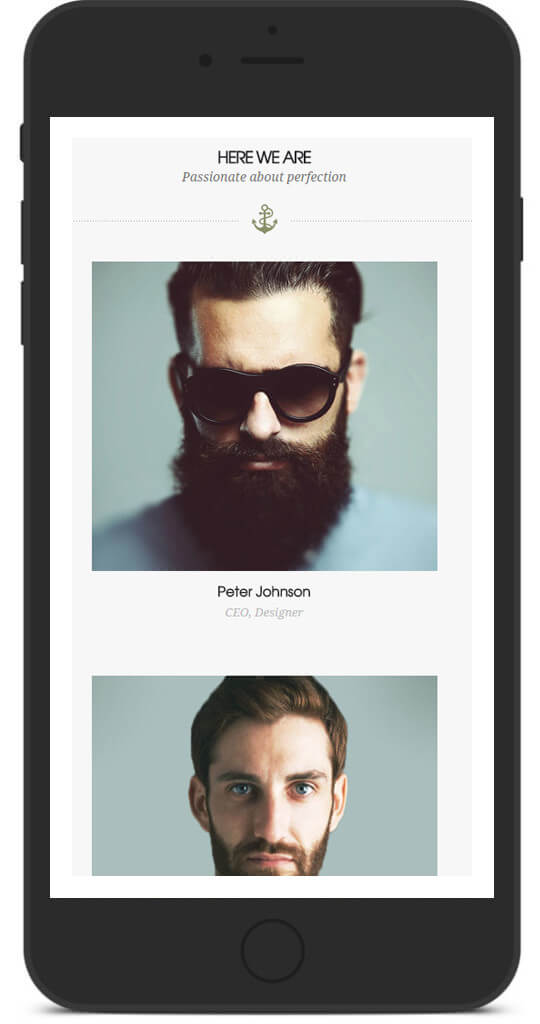 Image module