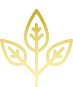 Image icon