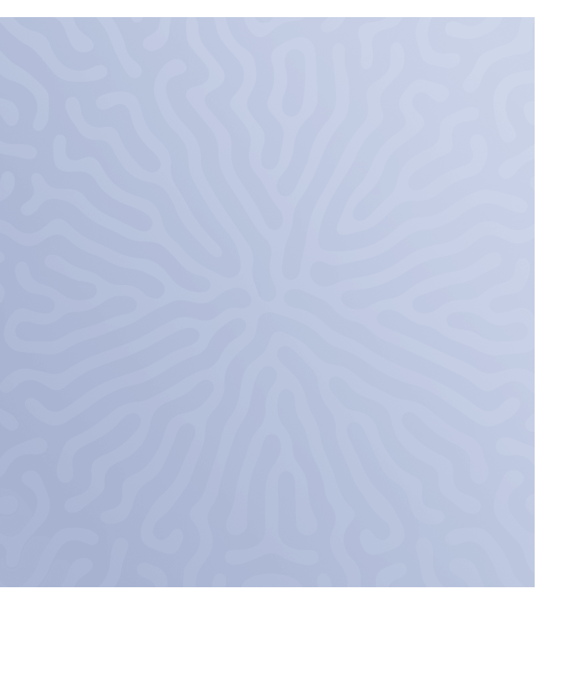 Layer