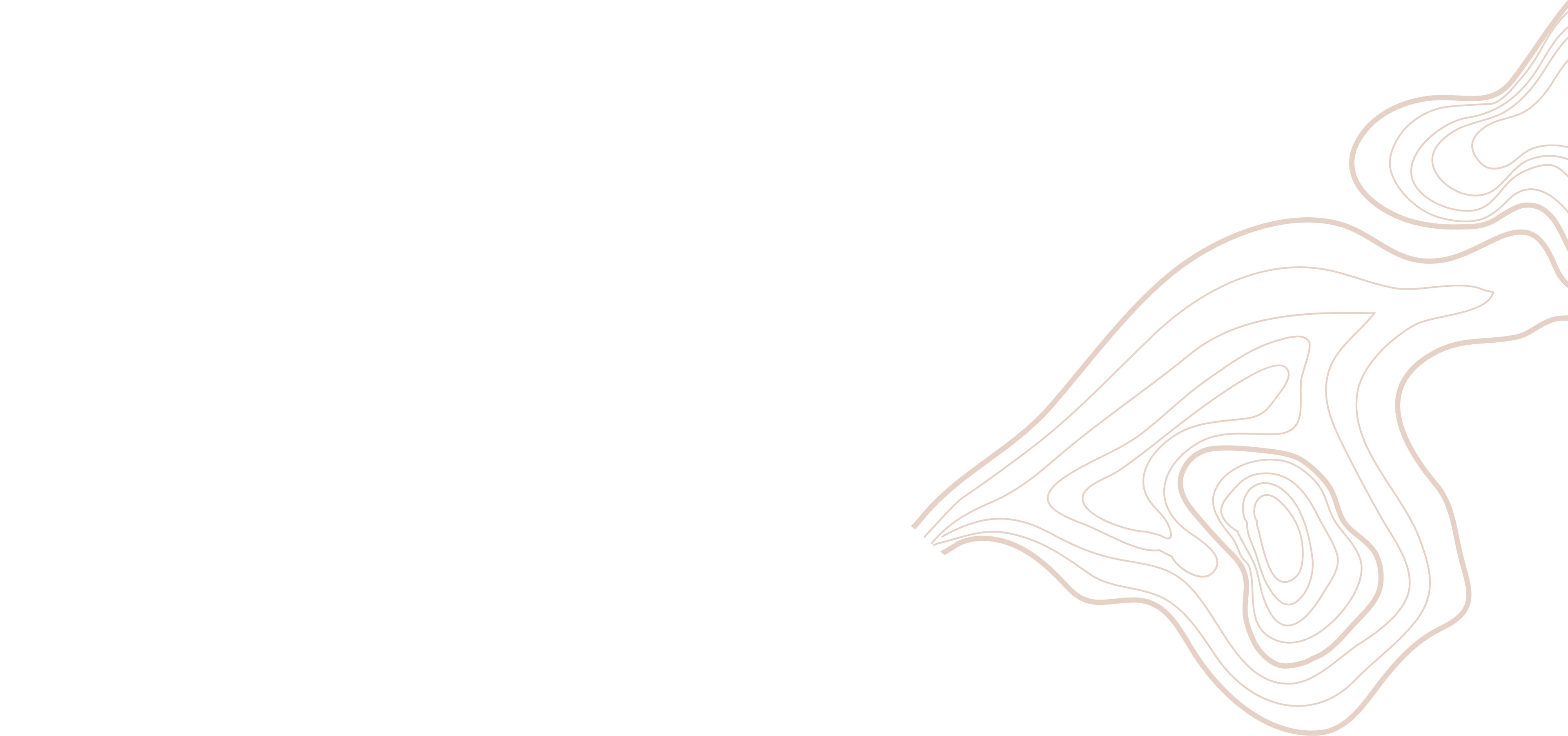 Layer