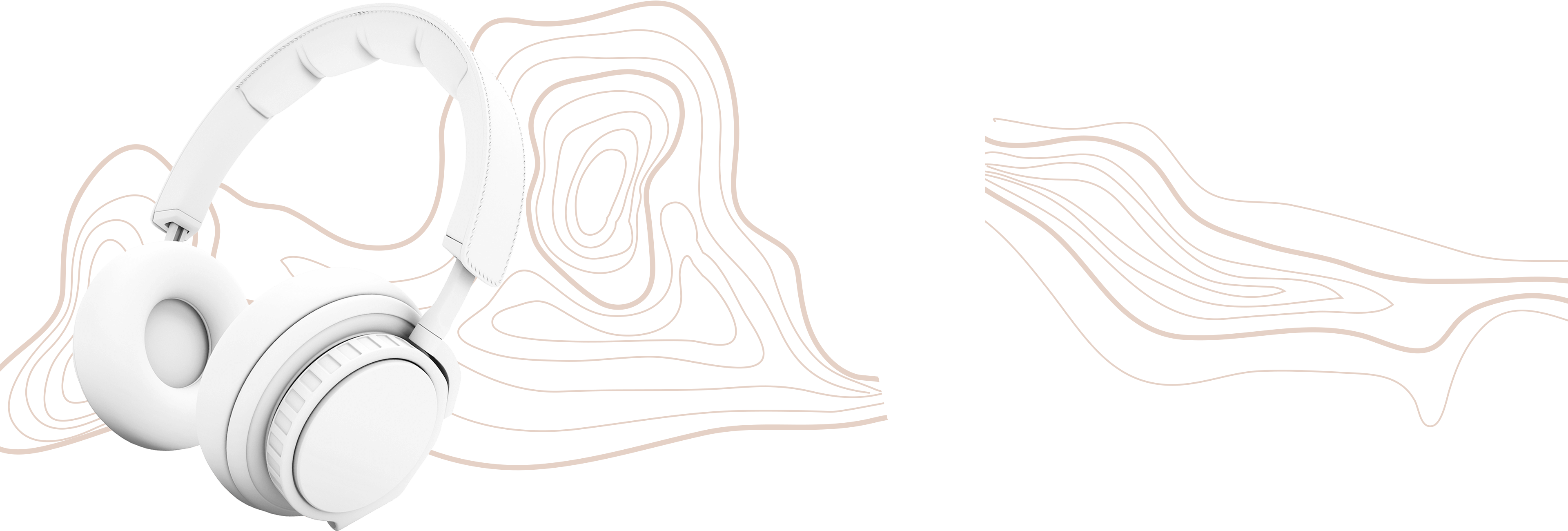 Image module